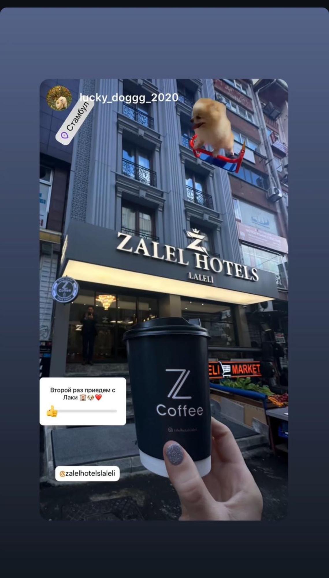Zalel Hotels Laleli Provincia di Provincia di Istanbul Esterno foto